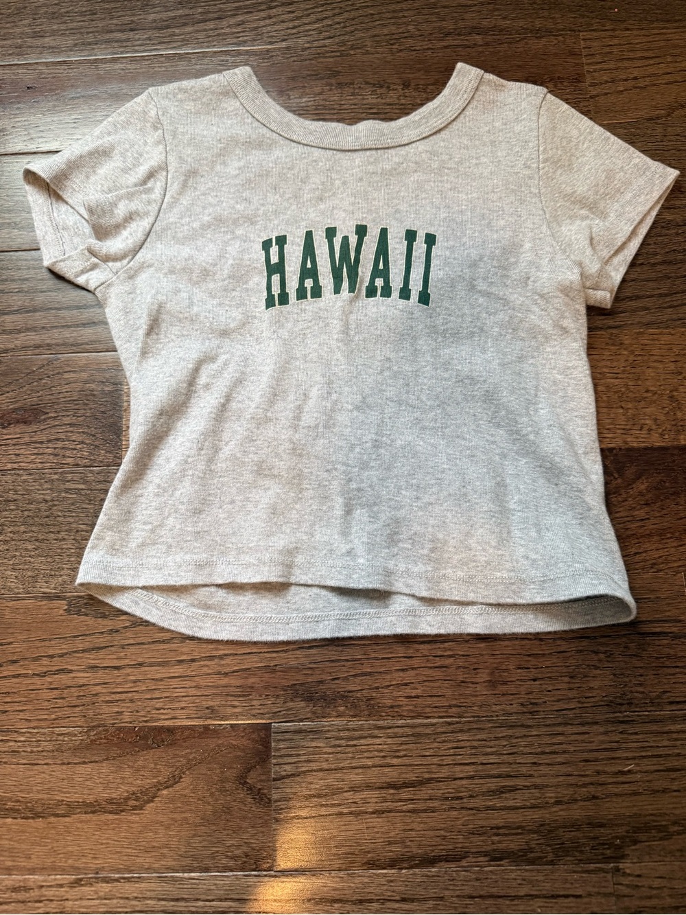 John Galt / Brandy Melville Light Gray Tee with Green "HAWAII" Graphic